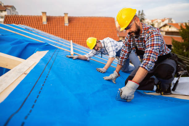Best Roof Leak Repair  in Van Buren, MO