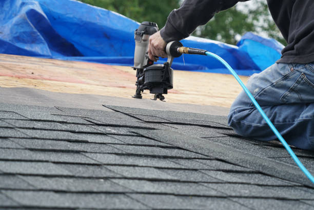 Best Shingle Roofing Installation  in Van Buren, MO
