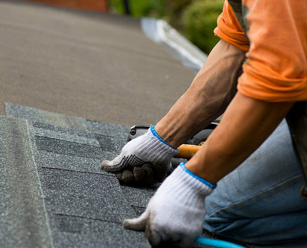 Roof Repair Estimates in Van Buren, MO