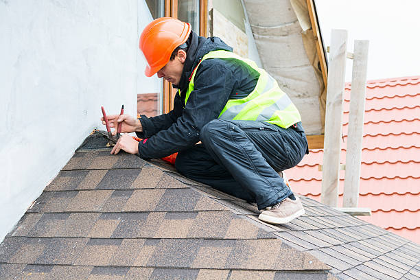 Best Flat Roof Repair Services  in Van Buren, MO